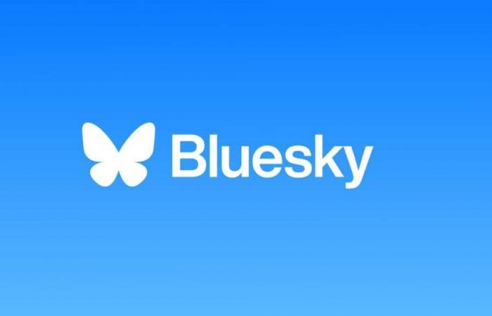 Bluesky, le rival de X, gagne un million d’utilisateurs en 24 heures