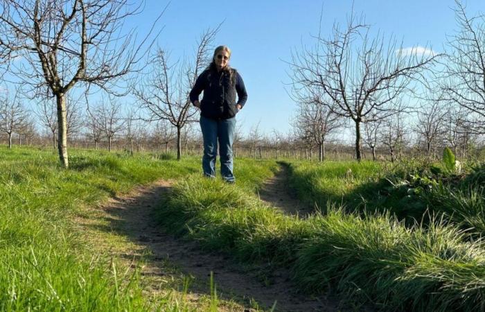 le désarroi d’un agriculteur de Dordogne en difficulté