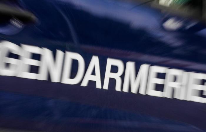 Près de Vendôme, la gendarmerie arrête deux trafiquants de drogue