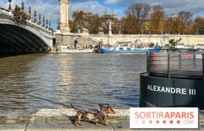 la balade des teckels revient dans la capitale ce week-end !