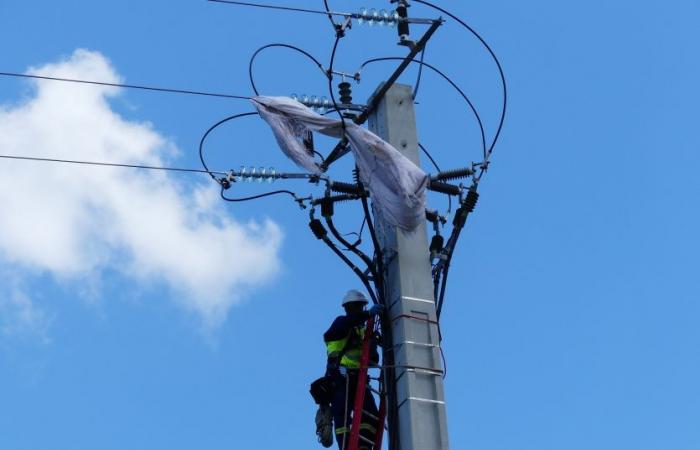 En octobre, les prix ont augmenté de 0,7% en raison des tarifs de l’électricité