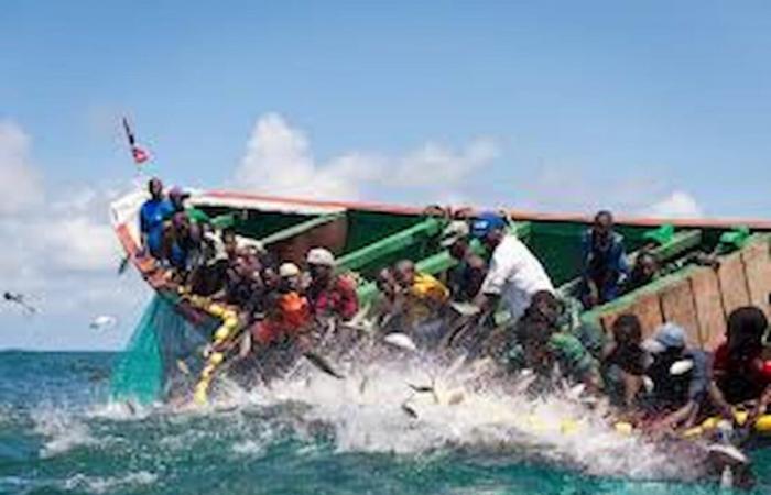 L’accord de pêche UE-Sénégal en eaux troubles