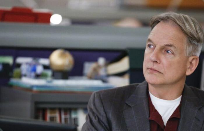 NCIS arrêté en urgence sur W9 suite à une « mauvaise performance d’audience »