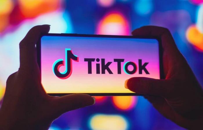 TikTok lance un outil d’IA pour proposer des publicités à la demande