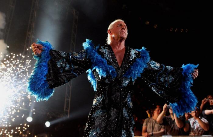 La légende de la WWE Ric Flair dans le coin de Mike Tyson contre Jake Paul