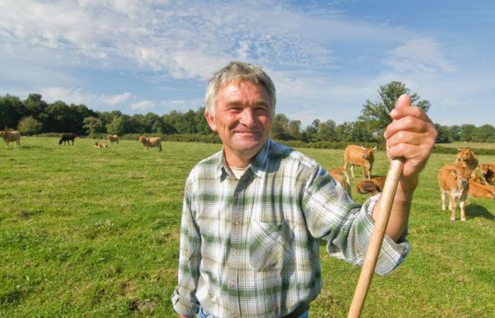 Plusieurs offres de reprise d’exploitation agricole proposées par la Chambre d’Agriculture de Dordogne.