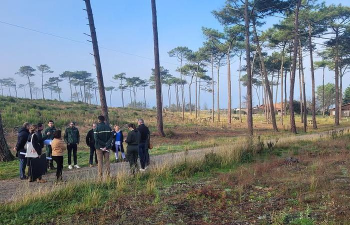 comment préparer le retour du public dans la forêt de La Teste