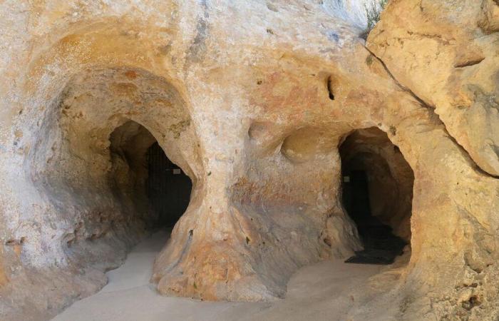 Quelles activités faire ce jeudi et vendredi en Dordogne ?