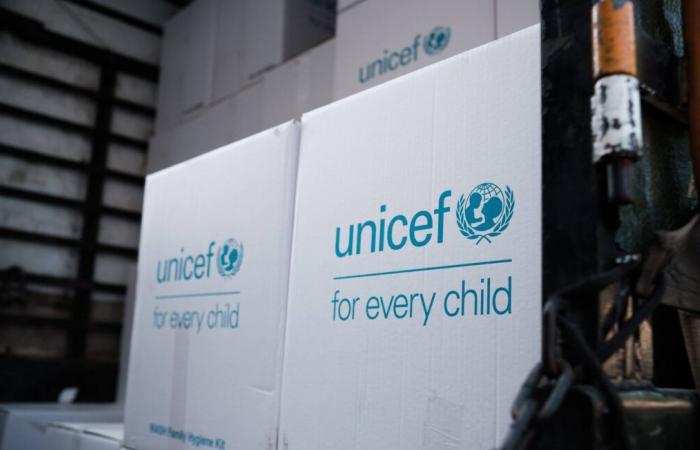 Une infirmière de l’UNICEF s’évade après six ans de captivité avec des jihadistes