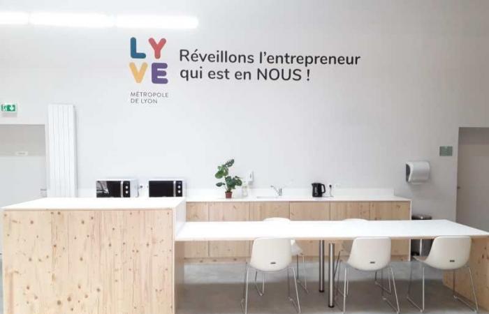 Découvrez les 3 Pôles Lyve, des lieux incontournables lorsque vous installez votre entreprise dans la Métropole de Lyon