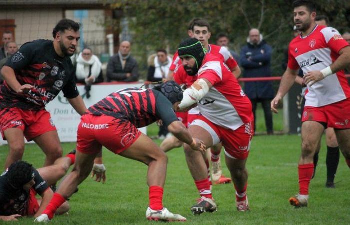 Amateur rugby (Federal 3). US Tarascon-sur-Ariège challenges La Salveta/Plaisance in a decisive match for maintenance