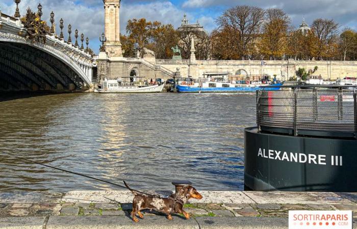 la balade des teckels revient dans la capitale ce week-end !