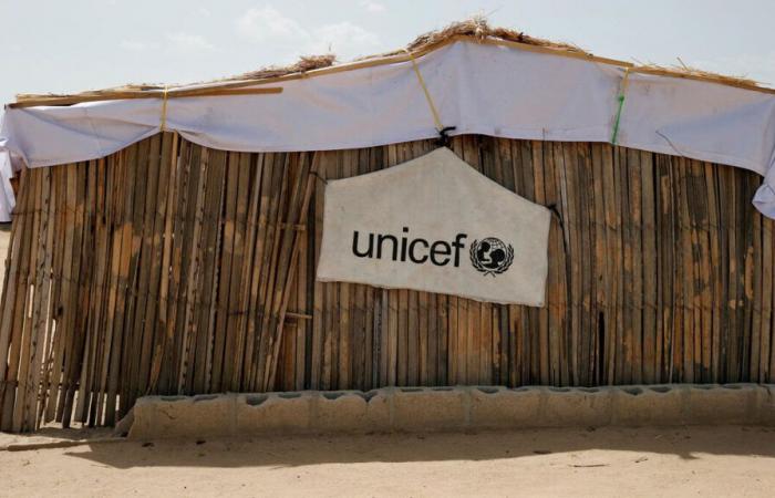 Kidnappée il y a six ans par des jihadistes, une infirmière de l’Unicef ​​parvient à s’enfuir au Nigeria