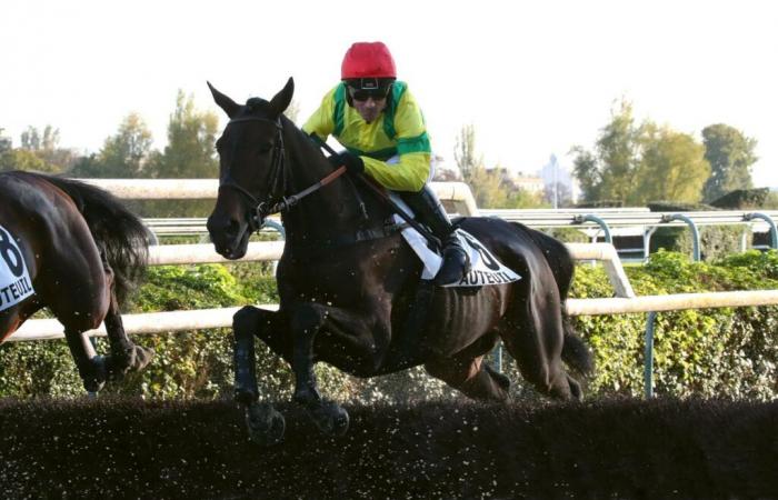 Dimanche à Auteuil – Prix Bernard Secly : Attention à « Nicolle »