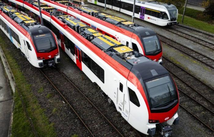 Le mauvais temps noie les espoirs de rentabilité de Stadler