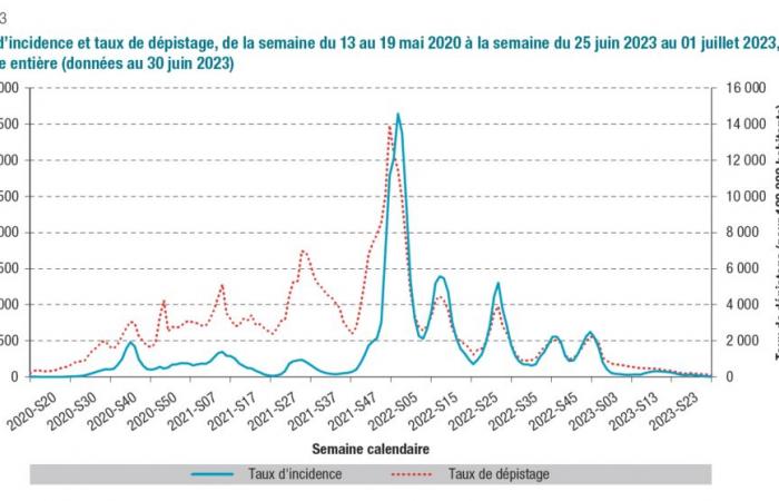 Impact du Covid sur la surveillance épidémiologique