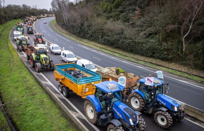 un barbecue géant et une exploitation d’escargots avec 80 tracteurs d’agriculteurs