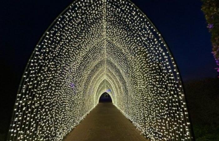 Paysage lumineux, ZooLights, patinage sur glace – NBC Chicago