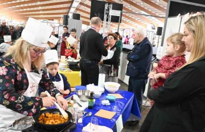 neuf idées de sorties ce week-end en Lorraine