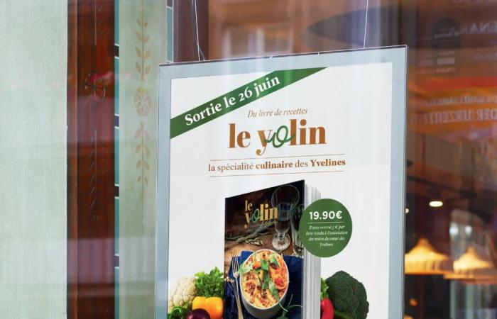 Les recettes des 259 communes des Yvelines dans le livre Yolin