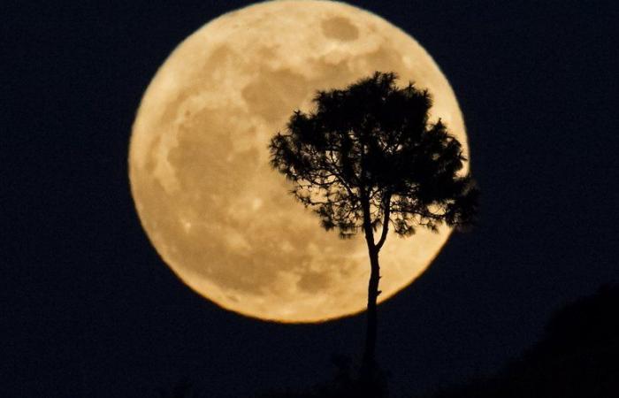 quel est ce phénomène, comment l’observer, à quelle heure… Tout ce qu’il faut savoir sur la dernière super Lune de l’année