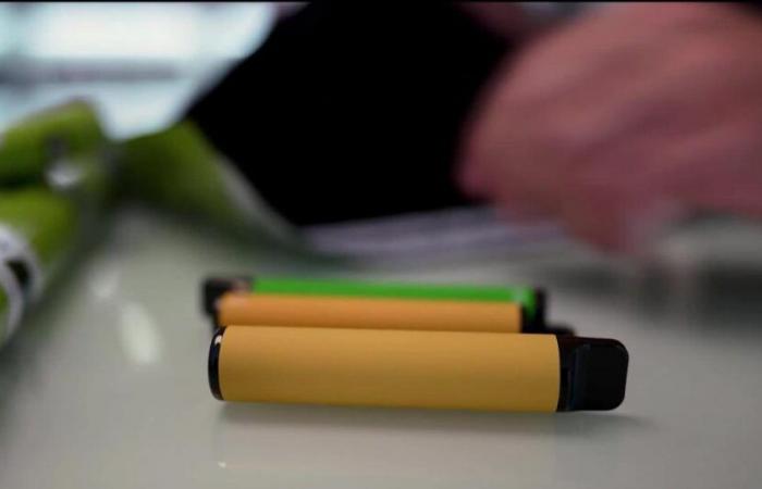 Le Valais devient le deuxième canton à interdire les cigarettes électroniques jetables