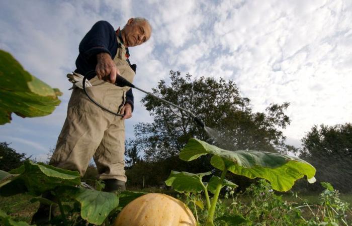 On boit des pesticides et ils traînent la France en justice