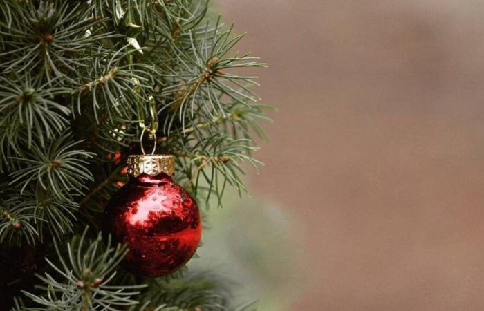 Le marché de Noël de La Défense a ouvert ce jeudi, avec plusieurs nouveautés au programme