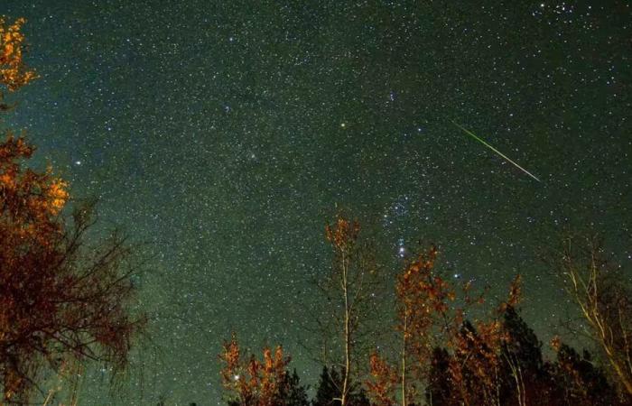 Une pluie d’étoiles filantes s’abattra sur la Suisse ce week-end