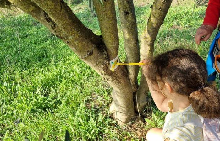 Le sentier de randonnée prend ses marques