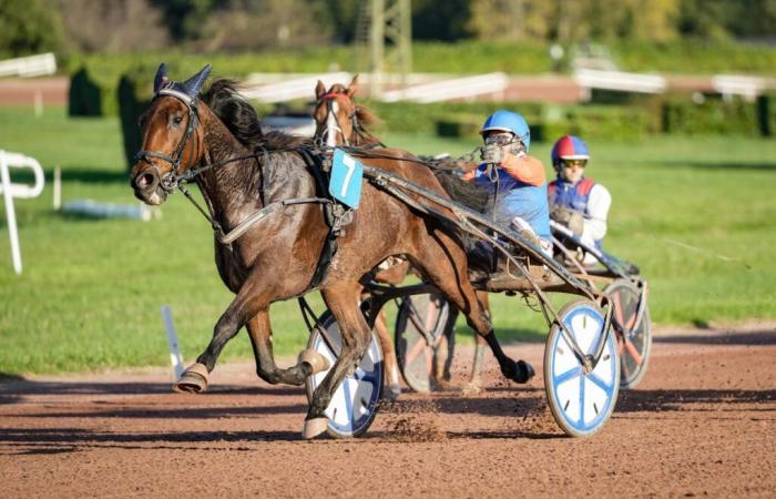 « Emeraude de Bais a le droit de se qualifier »