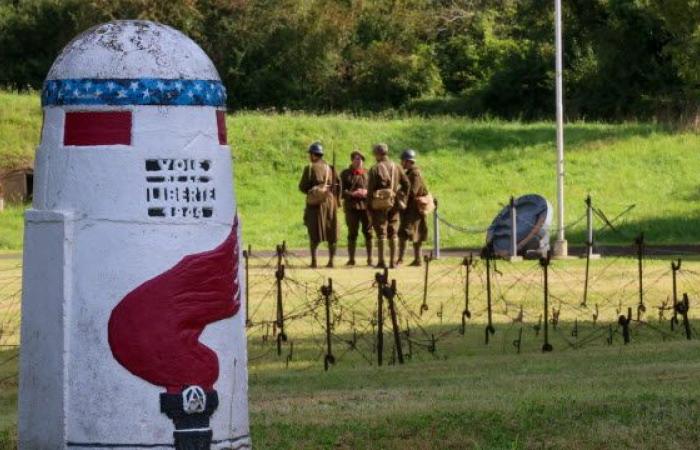 neuf idées de sorties ce week-end en Lorraine