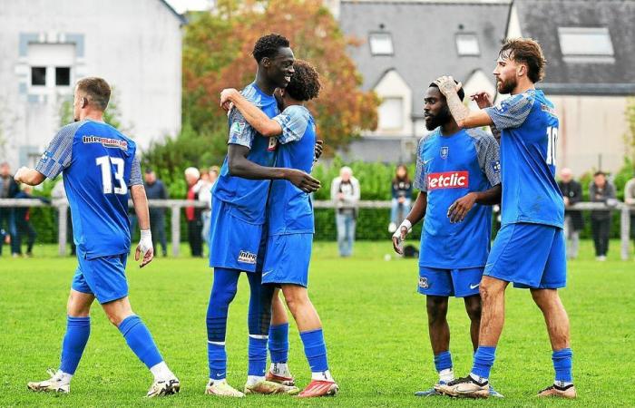 Le Vannes OC mise sur la Coupe de France pour retrouver le sourire