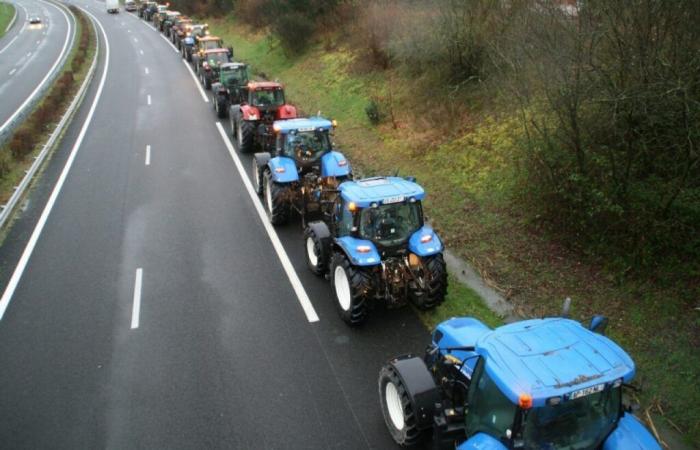 Les agriculteurs de la FDSEA annoncent des blocus pour marquer leur opposition au Mercosur