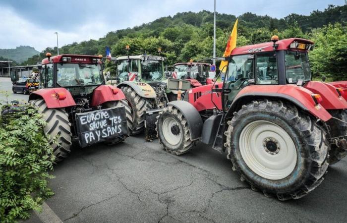 témoignages partagés d’agriculteurs et d’apiculteurs du Nord