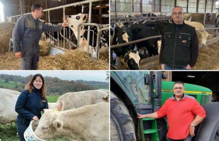 un an après la mobilisation, la frustration des agriculteurs persiste