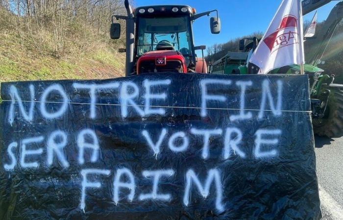 “Nos agriculteurs ne vont pas bien en Moselle”, estime Laurence Adloff de la MSA de Lorraine