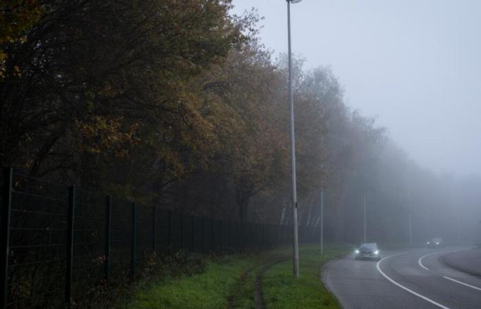 Brouillard, températures en baisse… voici les prévisions météo pour les prochains jours