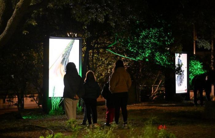 découvrez nos cinq illuminations préférées à Montpellier