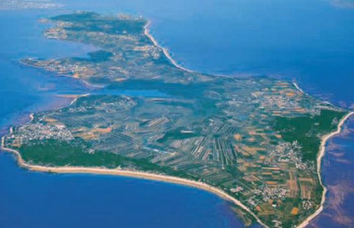 La saison en Charente-Maritime et sur l’Île de Ré