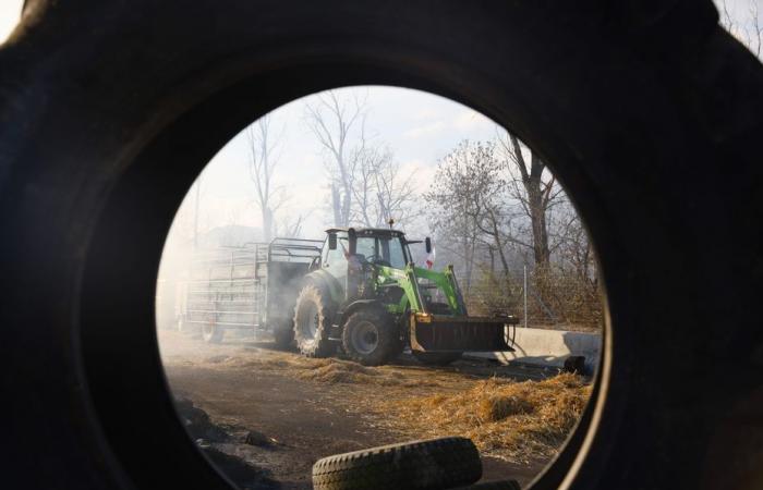 plusieurs rassemblements prévus en Isère contre l’accord de libre-échange UE-Mercosur