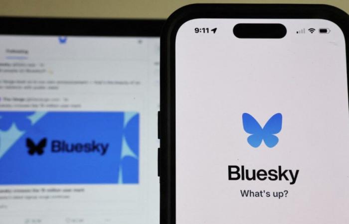 Bluesky gagne 1 million d’utilisateurs en 24 heures, signe de méfiance envers le X d’Elon Musk – 15/11/2024 à 13h50