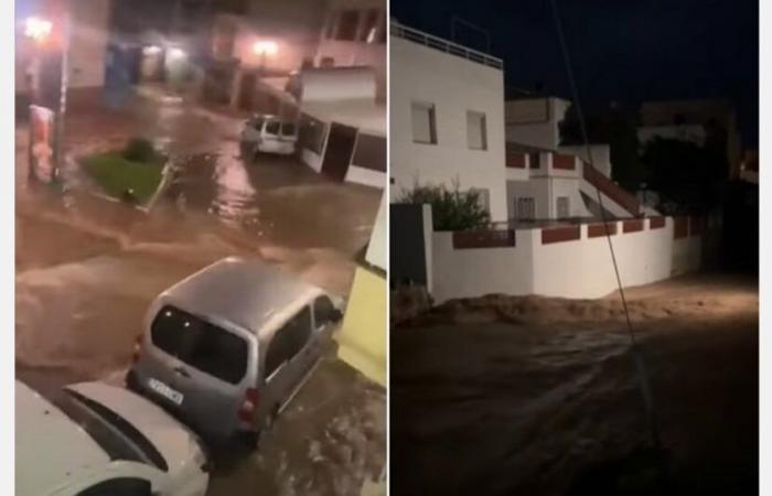 Pas de dégâts majeurs sur les agrumes suite aux inondations dans le sud de Tarragone