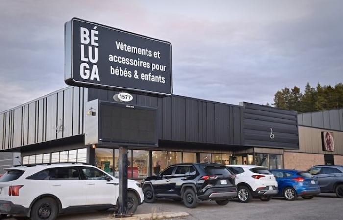 Béluga ferme boutique et se tourne vers le numérique