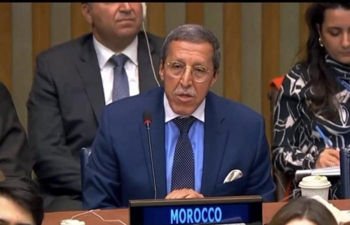 Omar Hilale nommé co-président du Forum ECOSOC