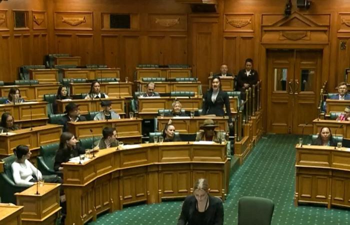 Pourquoi une session parlementaire néo-zélandaise a été interrompue par un haka