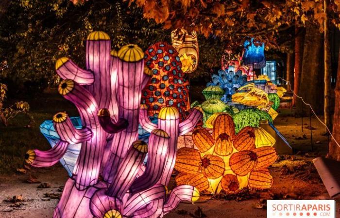 la fête des lumières 2024-2025 au Jardin des Plantes – photos