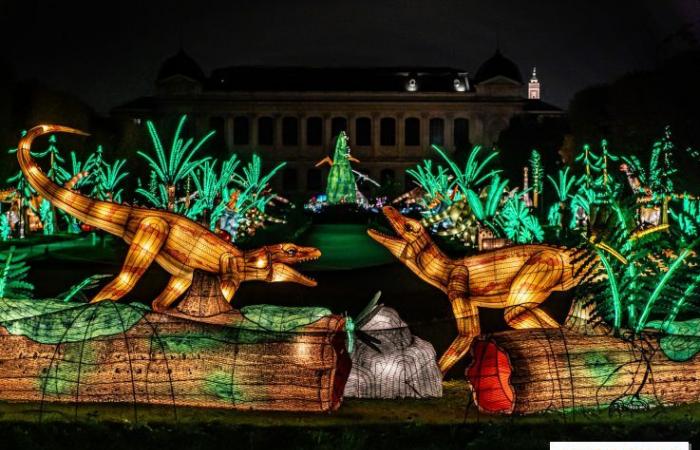 la fête des lumières 2024-2025 au Jardin des Plantes – photos