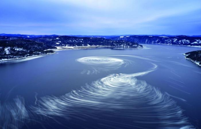 Avec son concours La Preuve par l’Image, l’Acfas récompense les meilleures photos scientifiques