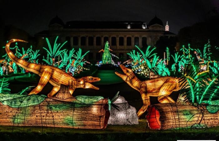 la fête des lumières 2024-2025 au Jardin des Plantes – photos